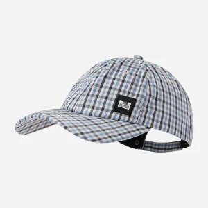 Clay - blue house check