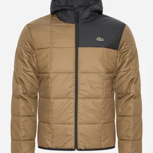 Puffer jacket - cookie black