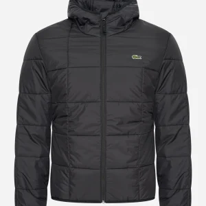 Puffer jacket - black black