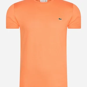 T-shirt - mandarin tree orange