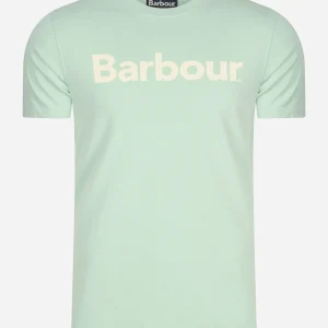 Logo tee - dusty mint