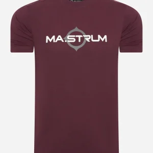 SS logo print tee - fig