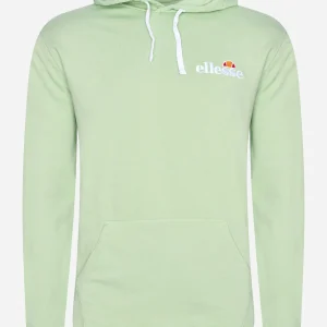 Tinctoria oh hoody - green