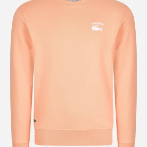 Branded sweatshirt - ledge