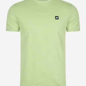 Cannon beach - fern moss