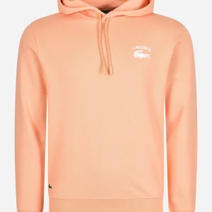 Branded hoodie - ledge