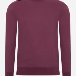 Core crew sweat - fig