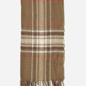 Torridon highland plai - olive warm ginger