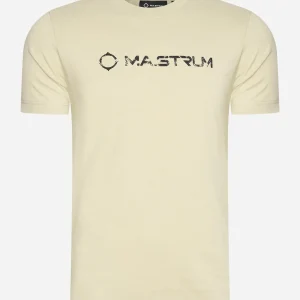 Cracked logo tee - ash