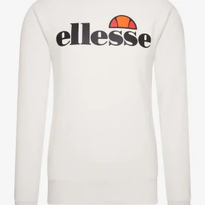 Sl succiso sweatshirt - light grey