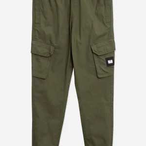 Pianemo - dark green