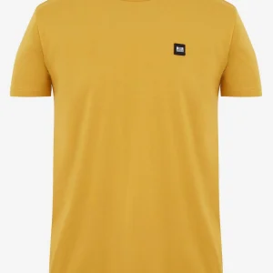 Cannon beach - golden